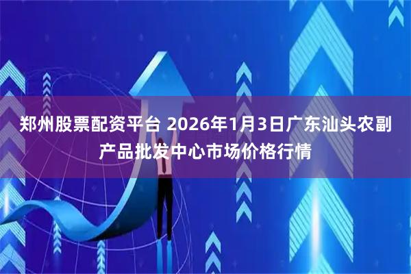 郑州股票配资平台 2026年1月3日广东汕头农副产品批发中心市场价格行情