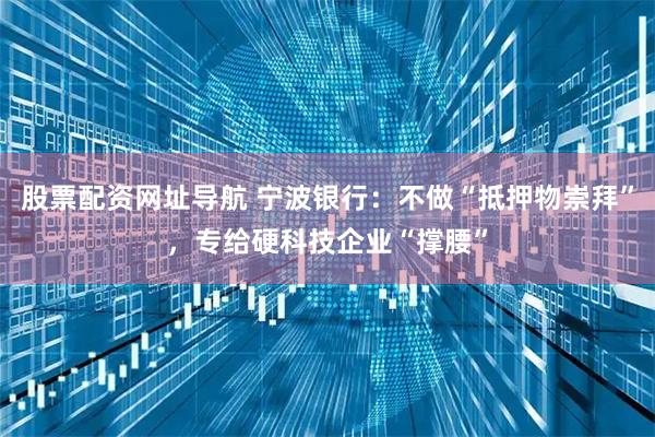 股票配资网址导航 宁波银行：不做“抵押物崇拜”，专给硬科技企业“撑腰”